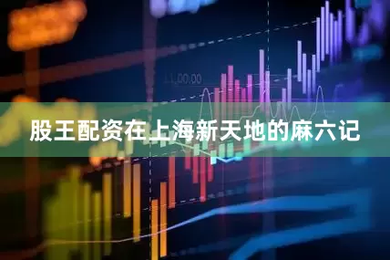 股王配资在上海新天地的麻六记
