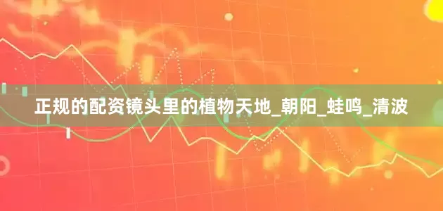 正规的配资镜头里的植物天地_朝阳_蛙鸣_清波