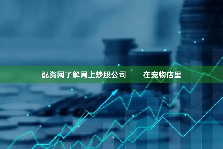 配资网了解网上炒股公司        在宠物店里