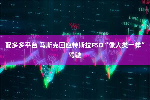 配多多平台 马斯克回应特斯拉FSD“像人类一样”驾驶