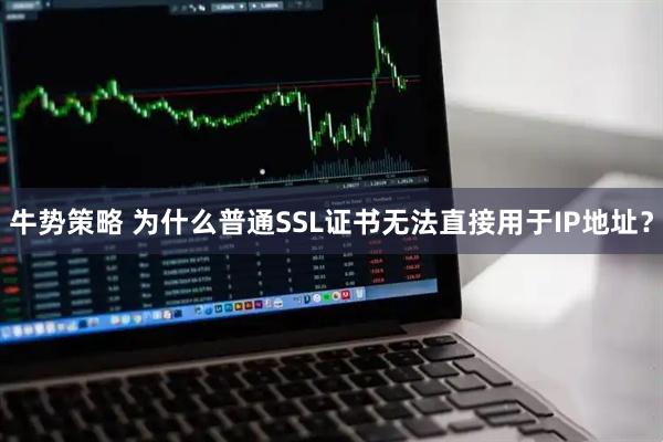 牛势策略 为什么普通SSL证书无法直接用于IP地址？